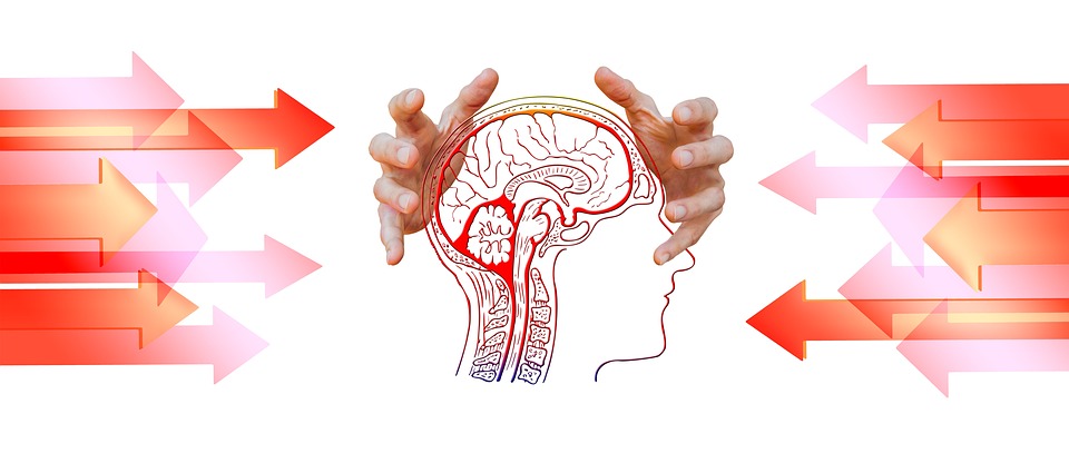 A human head showing the bone and brain structure with a pair of hands about to grip onto it and red arrows of a variety of lengths pointing towards it.