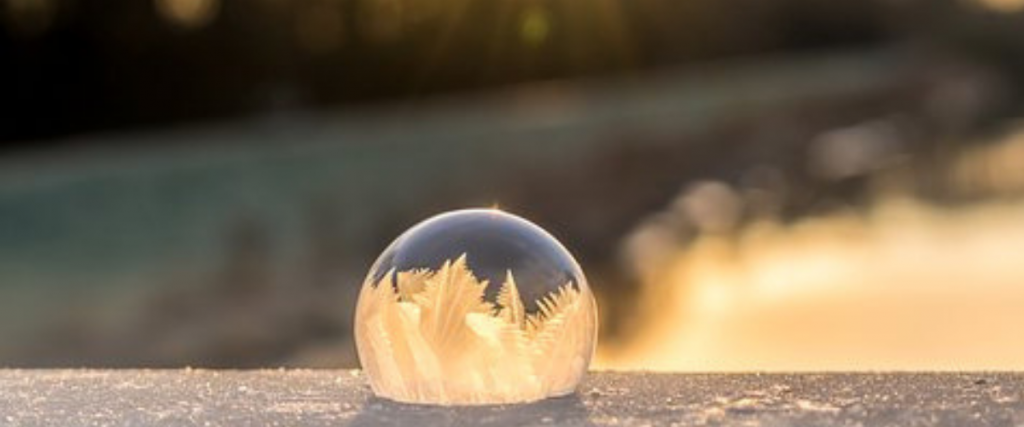 A small bubble which enlarges the leaves that are in a field beyond it.