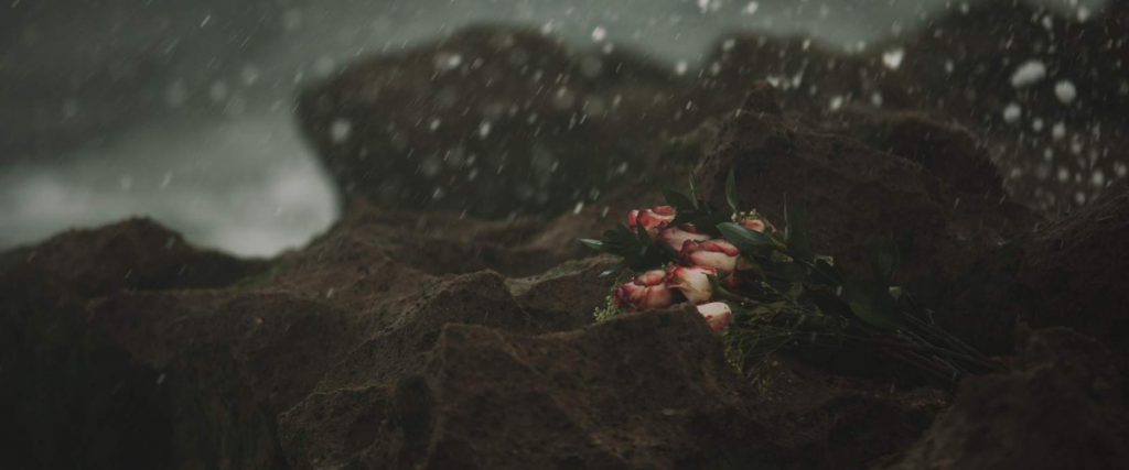 A rocky mound with a bunch of cream and red flowers and snow falling.