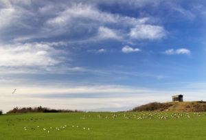 A scenic landscape with green grass and blue skies