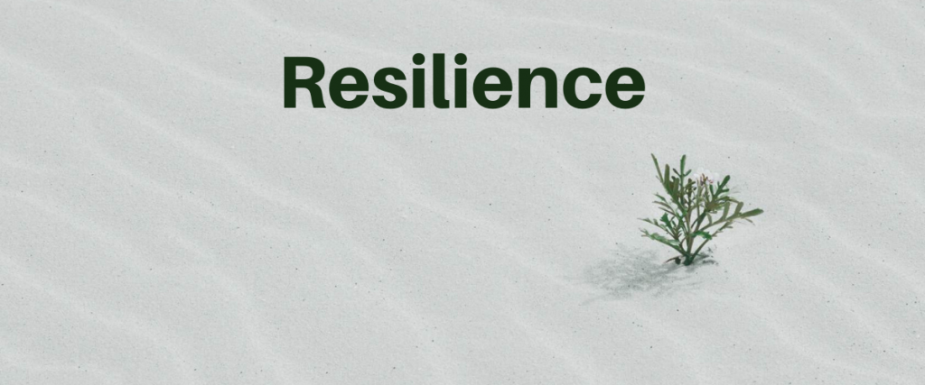 A sandy dune with a small plant sprouting through and the word resilience.