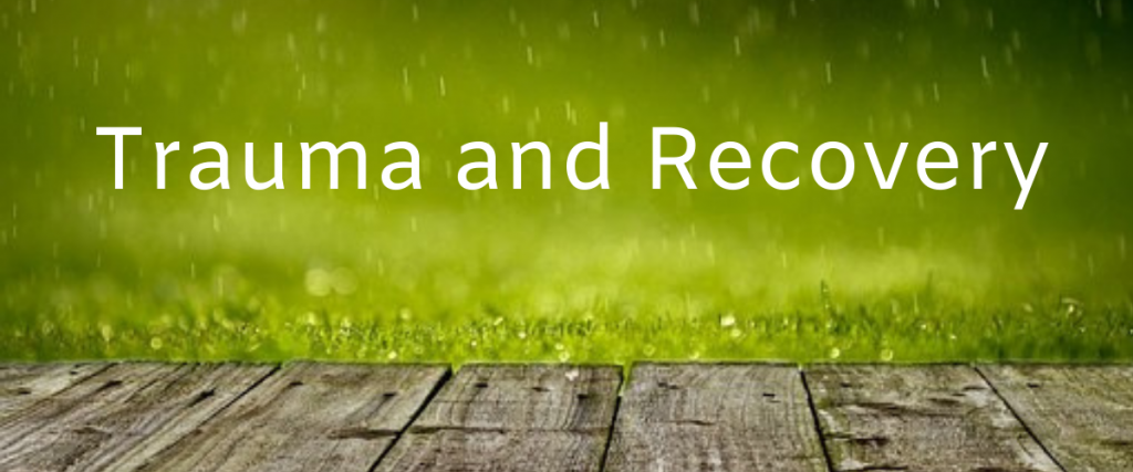 wooden planks in front of grass which is blurred due to rain with the text trauma and recovery.