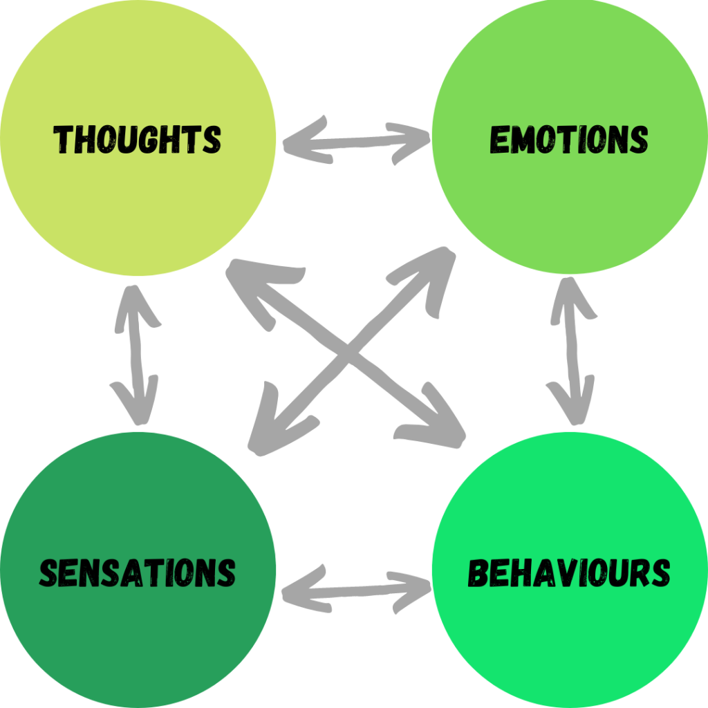 Thoughts, emotions, behaviours, sensations interlinked by arrows
