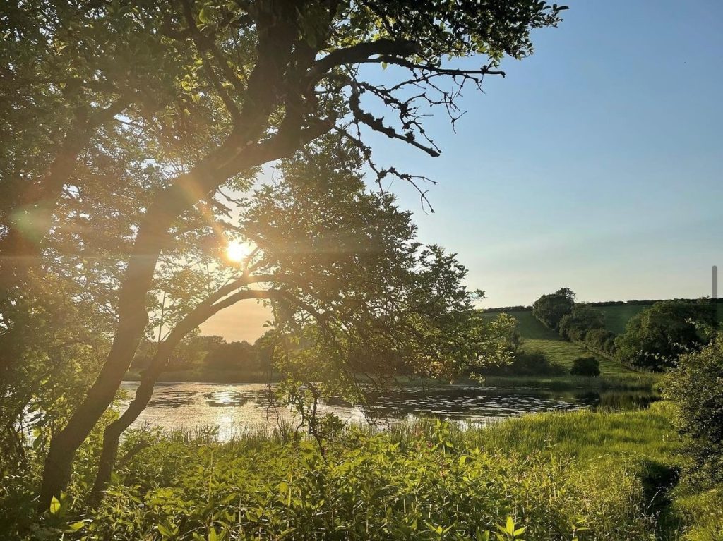 A photograph of a pond with the sun shining through the trees.