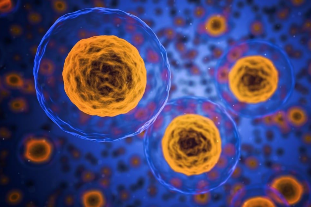 cells
