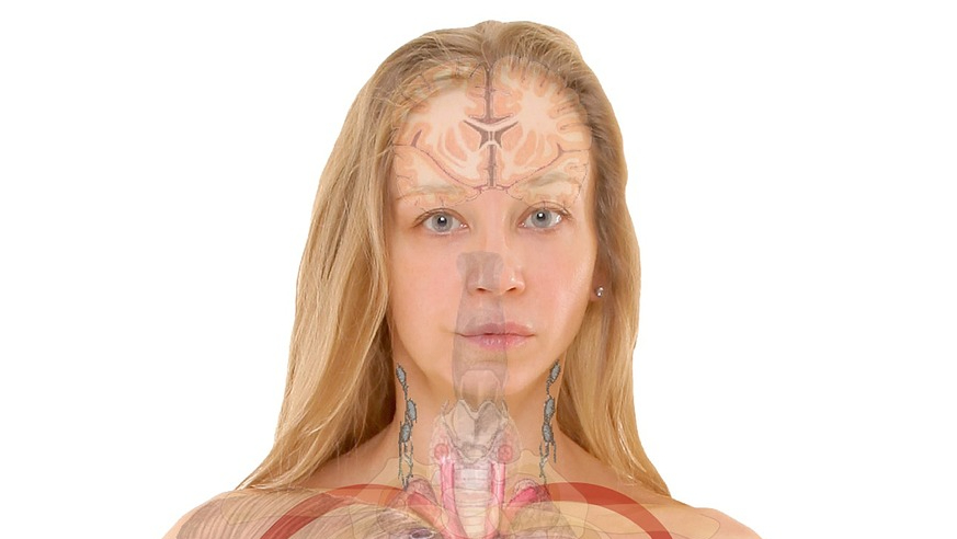 the body as biology.