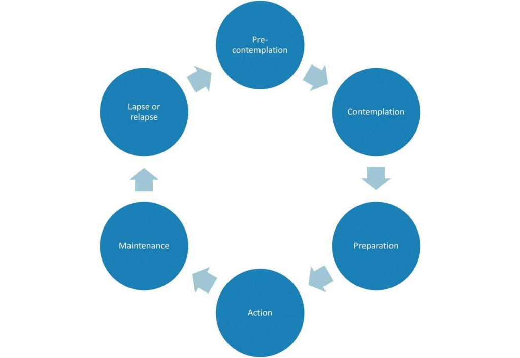 The Cycle of Change:
* Pre-contemplation.
* Contemplation.
* Preparation.
* Action
* Maintenance.
* Lapse or relapse.