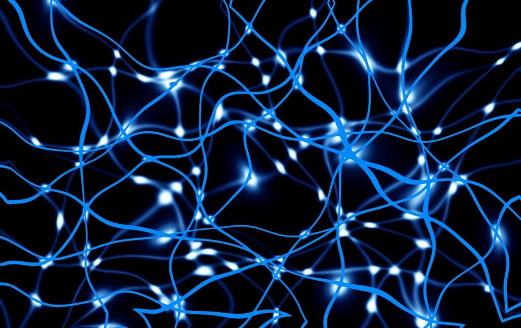 network