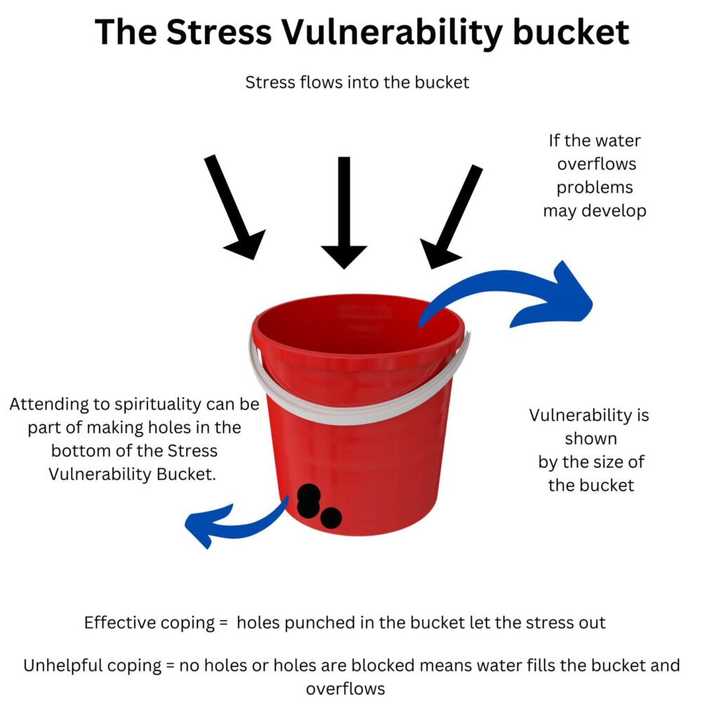 Stress Vulnerability Bucket.
At the top of the diagram there are arrows pointing towards a 
bucket. These arrows resemble stress flowing into the bucket.
The bucket has the following annotations. 
• Spirituality can be a way of punching holes in your bucket.
• Vulnerability is shown by the size of the bucket. 
• If the water overflows problems may develop.
There are blue arrows coming out from the bucket. The arrows 
resemble water (stress) leaving the bucket.
• Effective coping strategies are resembled by holes in the 
bucket, and these let the stress out.
• Unhelpful coping strategies are displayed by blue arrows 
coming from the top of the bucket. Blocked holes or no holes at 
all means that the water (stress) fills the bucket and overflows
it