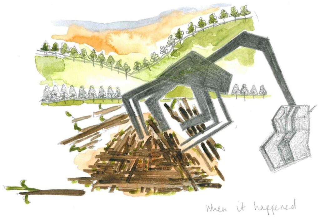 a mechanical digger.