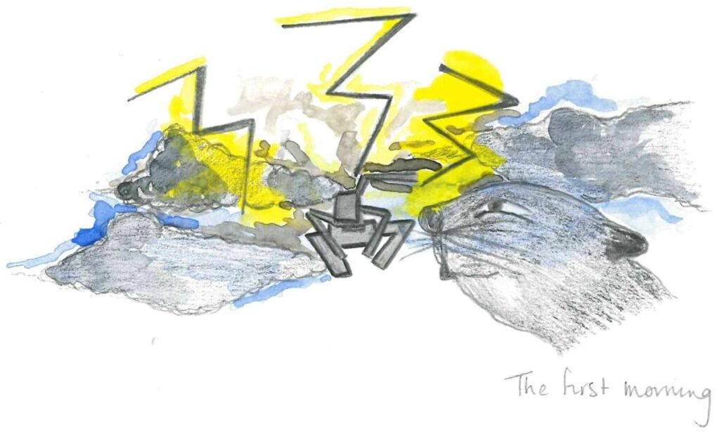 a beaver is a storm.