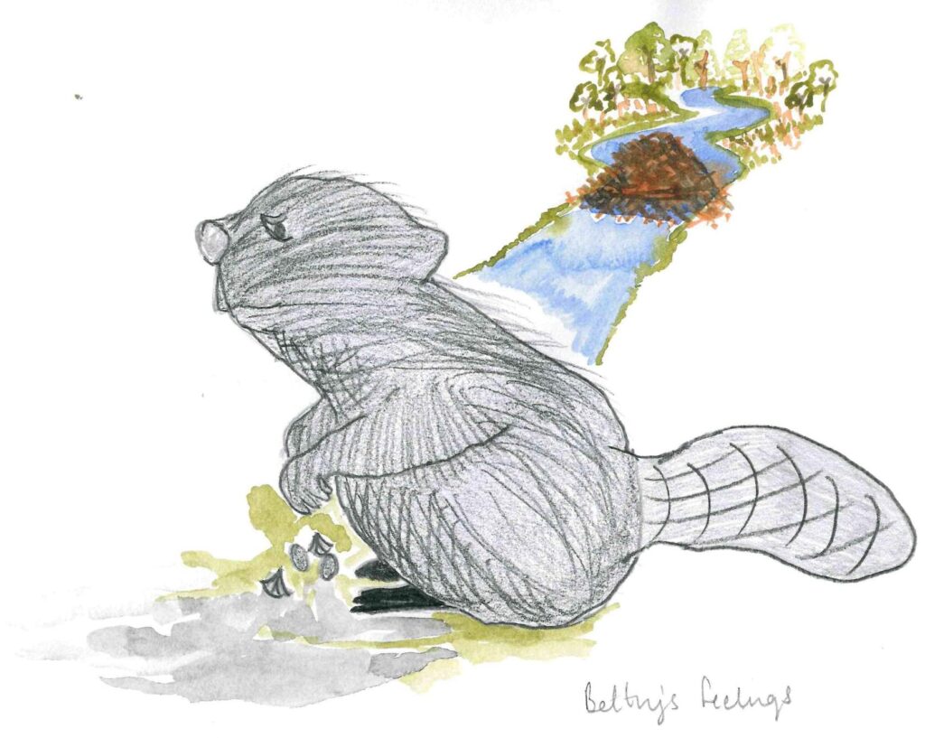 a beaver in front of a river,