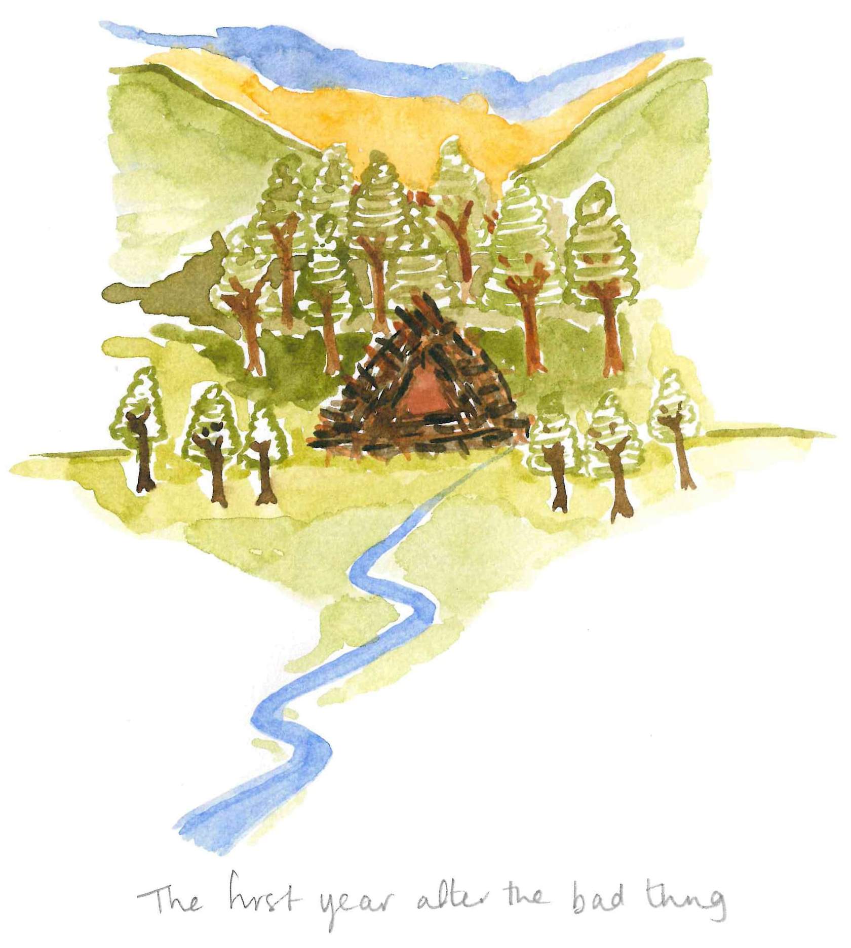 a stream in a forest.