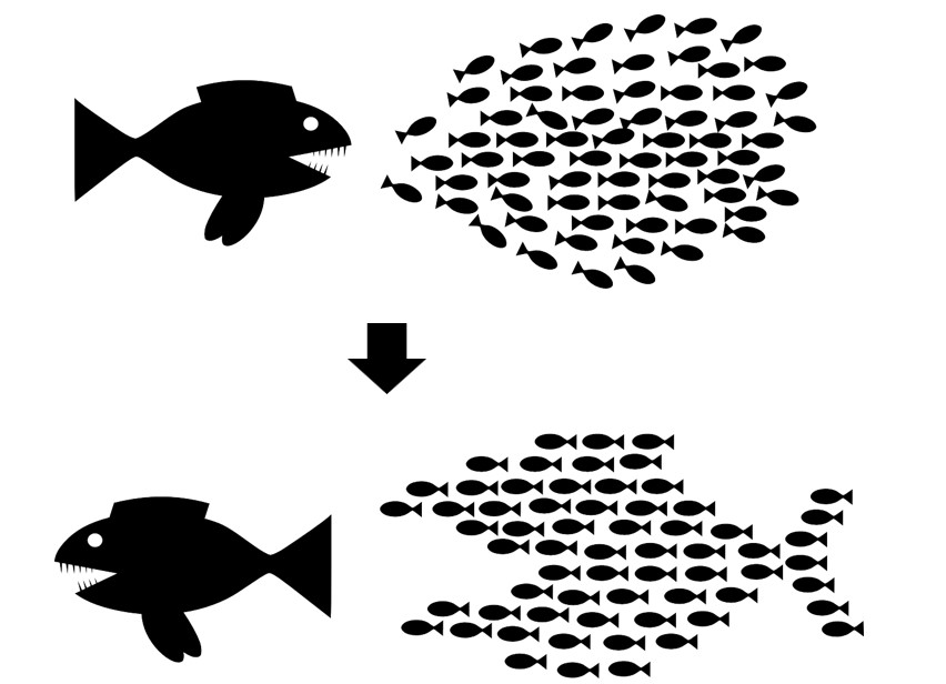 a threatening big fish chasing a shoal of little fish. However, they become a community of little fish in the shape of a huge fish. They chase away the big fish.