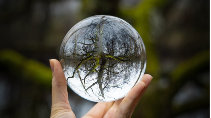 Person holding a sphere with a reflection in it.
