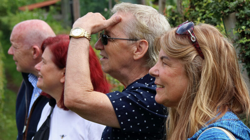 a group of people looking into the distance together