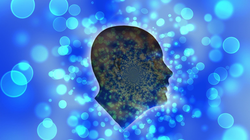 Untitled design (69)