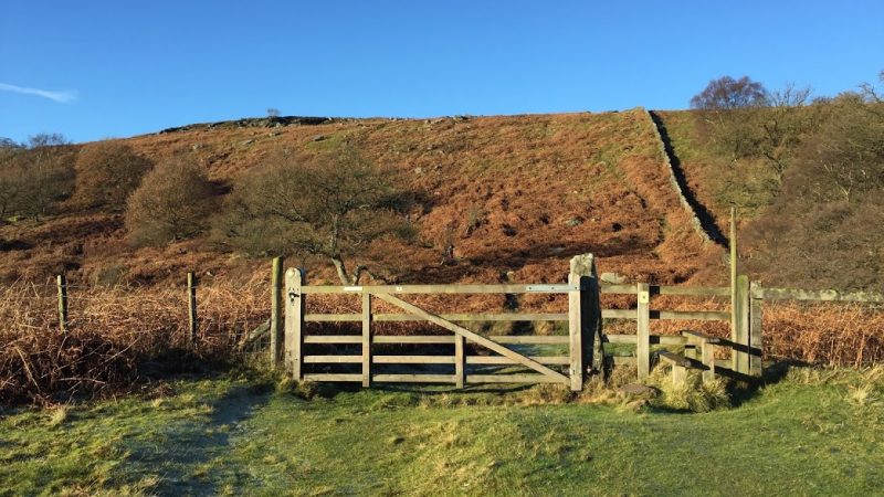 gate in moorland