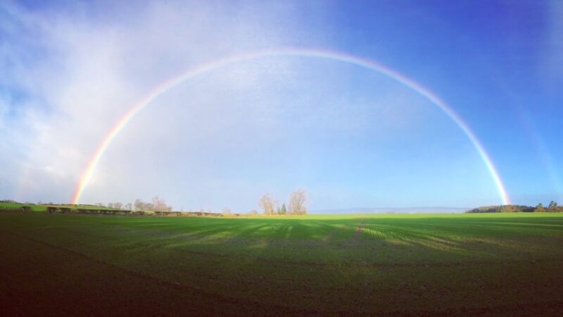 Double rainbow over a newly sown field.