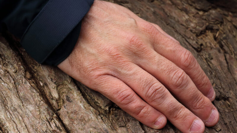 a man's hand resting against a tree