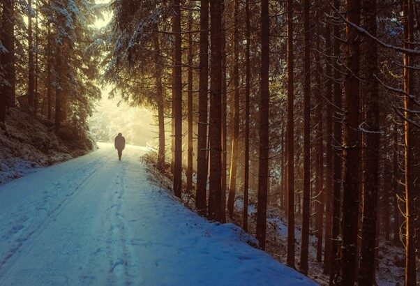 A person walking through snow-covered woodland